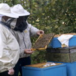 Wizyta w gospodarstwie pasiecznym Janusza Stanika w Skroniowie. Od lewej: Krzysztof Lipiec - poseł PiS i Janusz Stanik / Michał Kita / Radio Kielce