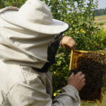 Wizyta w gospodarstwie pasiecznym Janusza Stanika w Skroniowie. Od lewej: Krzysztof Lipiec - poseł PiS i Janusz Stanik / Michał Kita / Radio Kielce