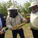 Wizyta w gospodarstwie pasiecznym Janusza Stanika w Skroniowie. Od lewej: Marek Kwitek - poseł PiS, Janusz Stanik, Krzysztof Lipiec - poseł PiS / Michał Kita / Radio Kielce