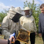 Wizyta w gospodarstwie pasiecznym Janusza Stanika w Skroniowie. Od lewej: Marek Kwitek - poseł PiS, Janusz Stanik, Krzysztof Lipiec - poseł PiS, Artur Konarski - radny sejmiku województwa / Michał Kita / Radio Kielce