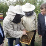 Wizyta w gospodarstwie pasiecznym Janusza Stanika w Skroniowie. Od lewej: Marek Kwitek - poseł PiS, Janusz Stanik, Krzysztof Lipiec - poseł PiS, Artur Konarski - radny sejmiku województwa / Michał Kita / Radio Kielce