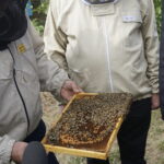 Wizyta w gospodarstwie pasiecznym Janusza Stanika w Skroniowie / Michał Kita / Radio Kielce