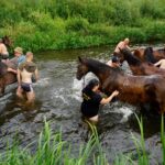 Choiny nad Nidą. Marsz Szlakiem I Kompanii Kadrowej / Mateusz Kaczmarczyk / Radio Kielce
