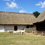 Tokarnia. Niedziela ze świętym Franciszkiem / Iwona Murawska / Radio Kielce