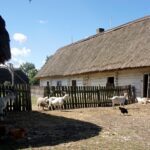 Tokarnia. Niedziela ze świętym Franciszkiem / Iwona Murawska / Radio Kielce