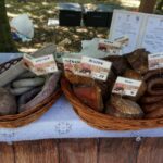 Tokarnia. Niedziela ze świętym Franciszkiem / Iwona Murawska / Radio Kielce