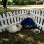 Tokarnia. Niedziela ze świętym Franciszkiem / Iwona Murawska / Radio Kielce