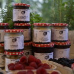 Kielce. Śniadanie w ogrodzie Radia Kielce / Aneta Cielibała-Gil / Radio Kielce