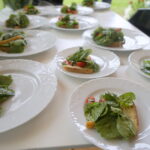 Śniadanie w ogrodzie Radia Kielce / Kamil Król / Radio Kielce