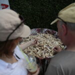 Nowa Słupia. Dymarki Świętokrzyskie / Wiktor Taszłow / Radio Kielce