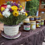 Nowa Słupia. Dymarki Świętokrzyskie / Wiktor Taszłow / Radio Kielce