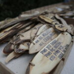 Nowa Słupia. Dymarki Świętokrzyskie / Wiktor Taszłow / Radio Kielce