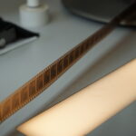 Filmoteka Narodowa - Oddział Łódzki / Patryk Cudzik / Radio Kielce