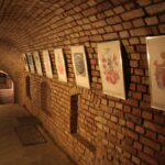 Rzeszów. Podziemna Trasa Turystyczna „Rzeszowskie Piwnice” / Robert Felczak / Radio Kielce