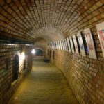 Rzeszów. Podziemna Trasa Turystyczna „Rzeszowskie Piwnice” / Robert Felczak / Radio Kielce