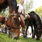 Słomniki. Marsz Szlakiem I Kompanii Kadrowej. Piknik / Jarosław Kubalski / Radio Kielce