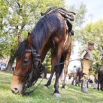 Słomniki. Marsz Szlakiem I Kompanii Kadrowej. Piknik / Jarosław Kubalski / Radio Kielce