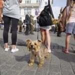 54. Marsz Szlakiem Pierwszej Kompanii Kadrowej wyrusza z Krakowa / Jarosław Kubalski / Radio Kielce