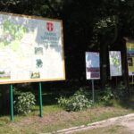 Nagłowice. Letni Raport Dnia / Krzysztof Bujnowicz / Radio Kielce