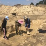 Odkrycie archeologiczne w Wilczycach / Grażyna-Szlęzak-Wójcik / Radio Kielce