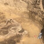 Odkrycie archeologiczne w Wilczycach / Grażyna-Szlęzak-Wójcik / Radio Kielce