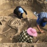 Odkrycie archeologiczne w Wilczycach / Grażyna-Szlęzak-Wójcik / Radio Kielce