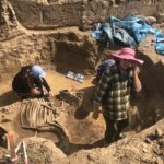 Odkrycie archeologiczne w Wilczycach / Grażyna-Szlęzak-Wójcik / Radio Kielce