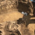 Odkrycie archeologiczne w Wilczycach / Grażyna-Szlęzak-Wójcik / Radio Kielce