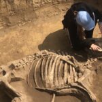 Odkrycie archeologiczne w Wilczycach / Grażyna-Szlęzak-Wójcik / Radio Kielce