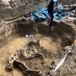 Odkrycie archeologiczne w Wilczycach / Grażyna-Szlęzak-Wójcik / Radio Kielce