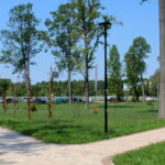 Skwer w Busku-Zdroju pomiędzy ulicą Starkiewicza, sanatorium Rafał, i aleją Topolową / Marta Gajda / Radio Kielce