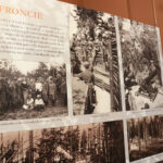 Wystawa o 4. Pułku Piechoty Legionów w Muzeum Orła Białego w Skarżysku-Kamiennej / Daria Pycia / Radio Kielce