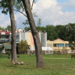 Skwer pomiędzy ulicą Starkiewicza, sanatorium Rafał i aleją Topolową w Busku-Zdroju w Busku-Zdroju / Marta Gajda / Radio Kielce