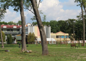 Skwer pomiędzy ulicą Starkiewicza, sanatorium Rafał i aleją Topolową w Busku-Zdroju w Busku-Zdroju / Marta Gajda / Radio Kielce