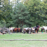 Tokarnia. Zdjęcia do filmu historycznego / Daria Pycia / Radio Kielce