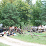 Tokarnia. Zdjęcia do filmu historycznego / Daria Pycia / Radio Kielce