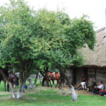 Tokarnia. Zdjęcia do filmu historycznego / Daria Pycia / Radio Kielce