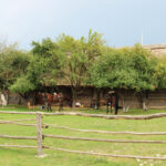 Tokarnia. Zdjęcia do filmu historycznego / Daria Pycia / Radio Kielce