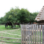 Tokarnia. Zdjęcia do filmu historycznego / Daria Pycia / Radio Kielce