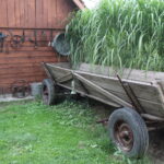 Muzeum Ziemi Skalbmierskiej / Marta Gajda / Radio Kielce