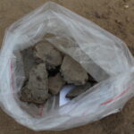 W Rzemienowicach pod lasem w gminie Opatowiec trwają prace archeologiczne. / Marta Gajda / Radio Kielce