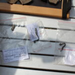 W Rzemienowicach pod lasem w gminie Opatowiec trwają prace archeologiczne. / Marta Gajda / Radio Kielce