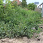 Skorczów, droga wojewódzka nr 776 / Marta Gajda / Radio Kielce