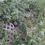 Skorczów, droga wojewódzka nr 776 / Marta Gajda / Radio Kielce