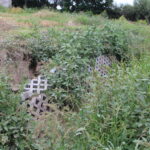 Skorczów, droga wojewódzka nr 776 / Marta Gajda / Radio Kielce