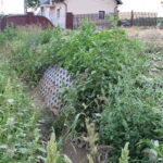 Skorczów, droga wojewódzka nr 776 / Marta Gajda / Radio Kielce