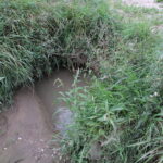 Skorczów, droga wojewódzka nr 776 / Marta Gajda / Radio Kielce