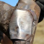 Pole miedzy Krzczonowem, a Kociną w gminie Opatowiec. Poszukiwania szczątków Liberatora B24L / Marta Gajda / Radio Kielce