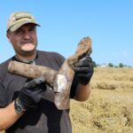 Pole miedzy Krzczonowem, a Kociną w gminie Opatowiec. Poszukiwania szczątków Liberatora B24L / Marta Gajda / Radio Kielce