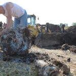 Pole miedzy Krzczonowem, a Kociną w gminie Opatowiec. Poszukiwania szczątków Liberatora B24L / Marta Gajda / Radio Kielce